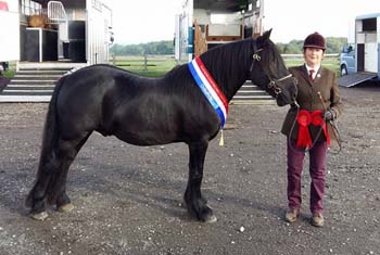 Rackwood Hugo fell champion